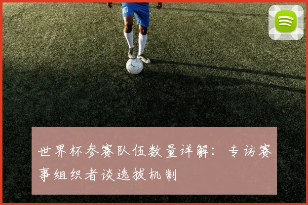 世界杯参赛队伍数量详解:专访赛事组织者谈选拔机制