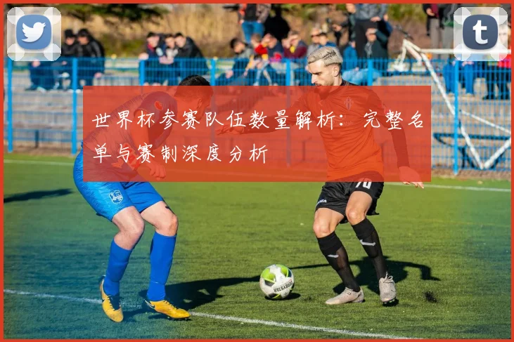世界杯参赛队伍数量解析:完整名单与赛制深度分析