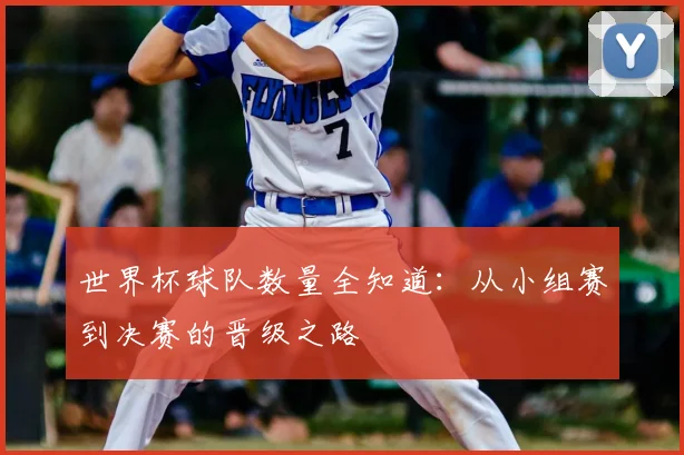 世界杯球队数量全知道:从小组赛到决赛的晋级之路