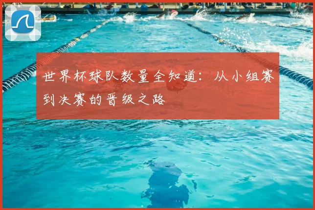 世界杯球队数量全知道:从小组赛到决赛的晋级之路