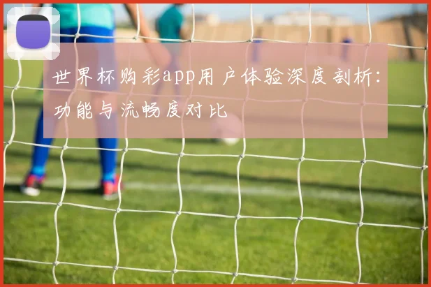世界杯购彩app用户体验深度剖析:功能与流畅度对比