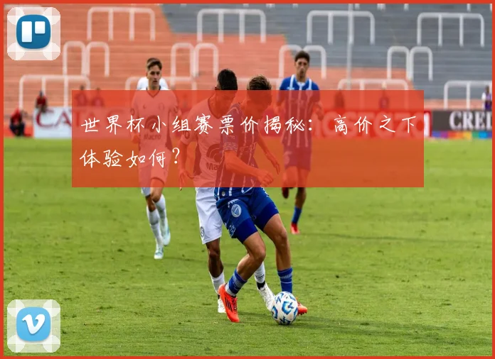 世界杯小组赛票价揭秘:高价之下体验如何?