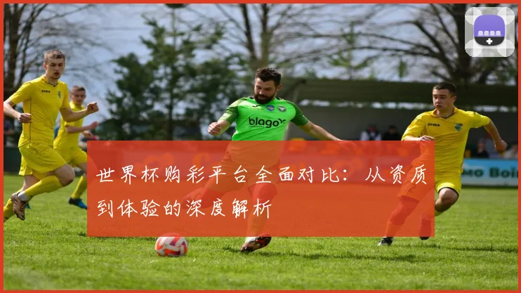 世界杯购彩平台全面对比:从资质到体验的深度解析