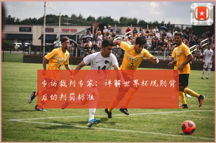 专访裁判专家:详解世界杯规则背后的判罚标准