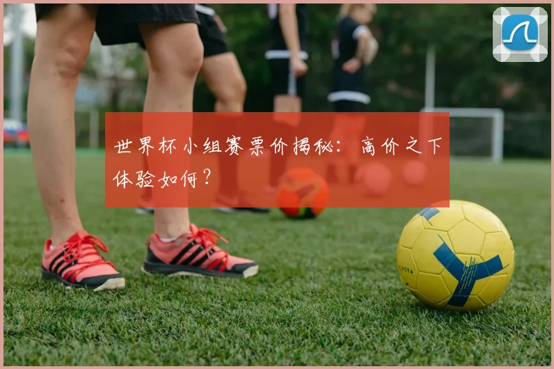 世界杯小组赛票价揭秘:高价之下体验如何?