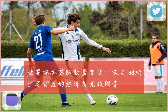 世界杯参赛队数量变迁:深度剖析扩容背后的经济与竞技因素